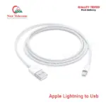 Apple Lightning to USB Cable