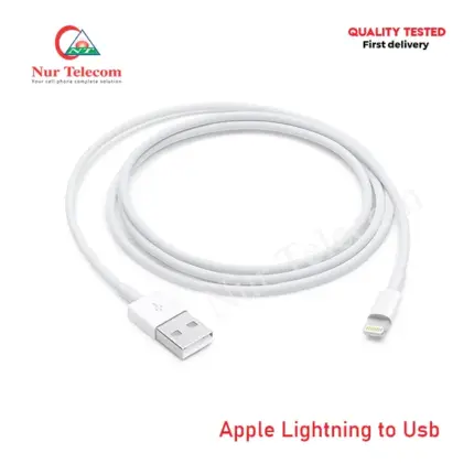 Apple Lightning to USB Cable