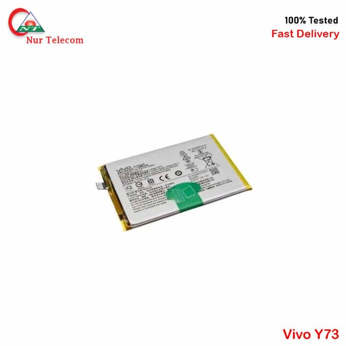 Vivo Y73 Battery Price